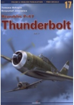 Republic P 47 Thunderbolt Tom 17