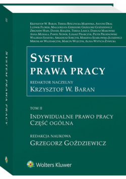 System prawa pracy Tom 2 Indywidualne prawo pracy Część ogólna