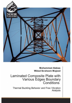 Laminated Composite Plate with Various Edges Boundary Conditions