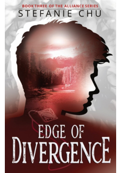Edge of Divergence