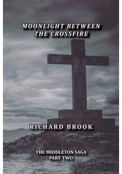 Moonlight Between The Crossfire