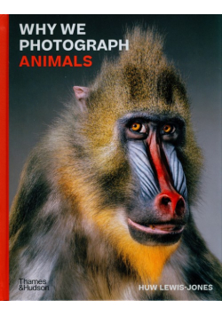 Why We Photograph Animals