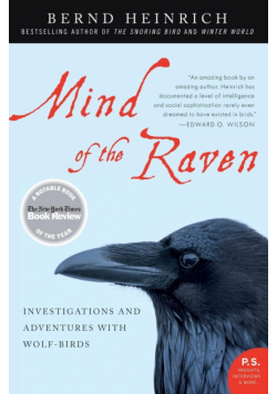 Mind of the Raven