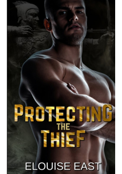 Protecting the Thief