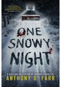 One Snowy Night