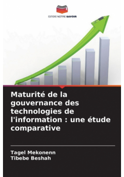 Maturité de la gouvernance des technologies de l'information