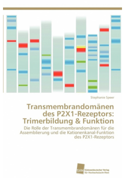 Transmembrandomänen des P2X1-Rezeptors