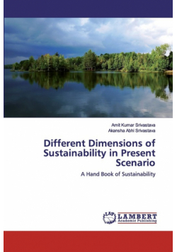Different Dimensions of Sustainability in Present Scenario