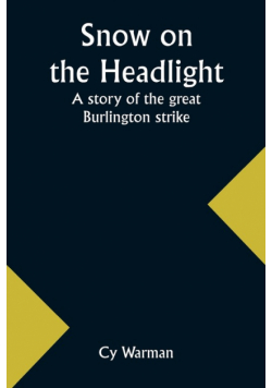 Snow on the headlight