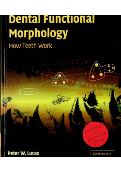 Dental Functional Morphology