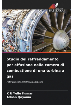 Studio del raffreddamento per effusione nella camera di combustione di una turbina a gas