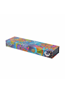 Piórnik Celestial Magic PA9742-6