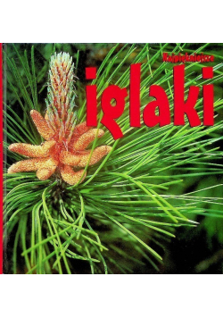 Najpiękniejsze iglaki