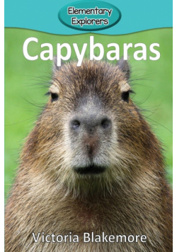 Capybaras