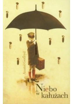 Niebo w kałużach