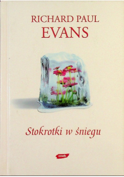 Stokrotki w śniegu