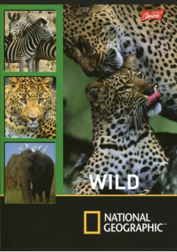 Zeszyt A5 National Geographic w linie 32 kartki Wild 15 sztuk