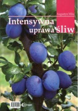 Intensywna uprawa śliw