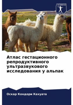 Атлас гестационного репродуктивного ультразвукового исследования у альпак