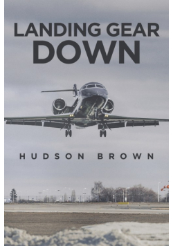 Landing Gear Down