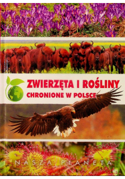 Zwierzęta i rośliny chronione w Polsce