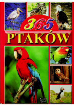 365 ptaków