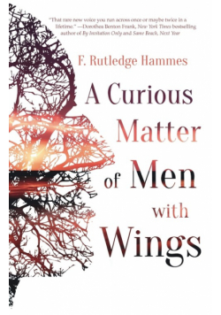 A Curious Matter of Men with Wings