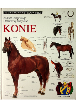 Ilustrowany słownik Konie