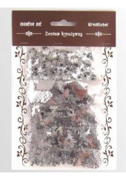 Zestaw elementów srebrnych z folii 5x6g