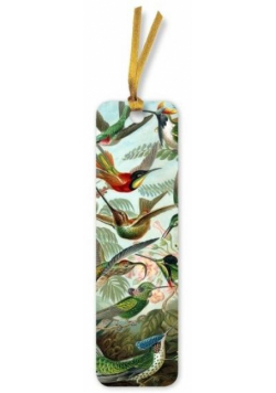 Zakładka do książki BKMK82 Kolibry Ernst Haeckel