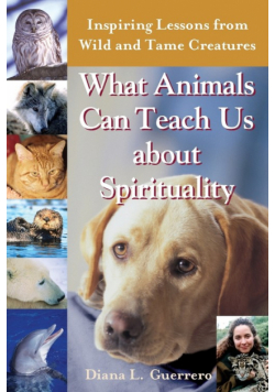 What Animals Can Teach Us About Spirituality