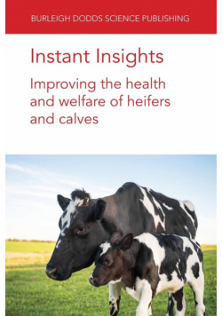 Instant Insights