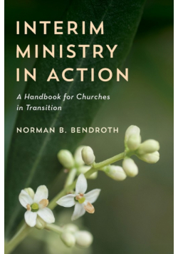 Interim Ministry in Action
