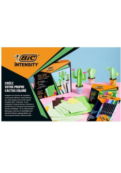 Zestaw Intensity Paper Cactus BIC