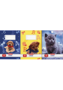 Zeszyt A5 x.book w linie 32 kartki 10 sztuk mix
