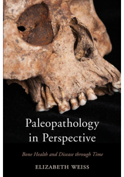 Paleopathology in Perspective