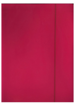 Teczka z gumką A4 Pantone Pink 5 sztuk