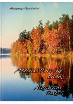 Augustowski Bór Augustów Forest