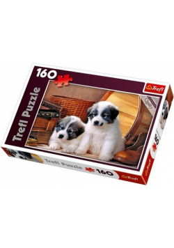 Puzzle Bernardynki 160
