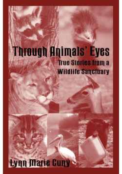 Through Animals' Eyes