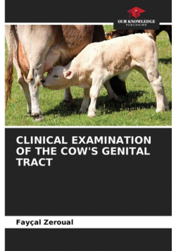 Clinical Examination Of The Cow's Genital Tract