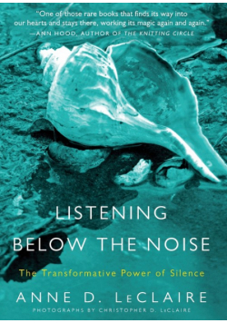 Listening Below the Noise