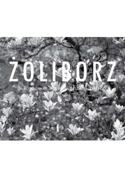 Żoliborz w fotografii Andrzeja Jastrzembskiego