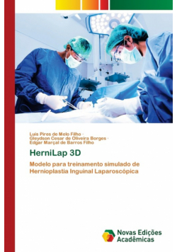 HerniLap 3D