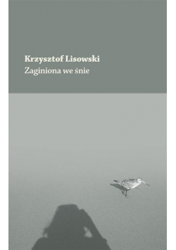 Zaginiona we śnie