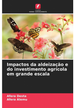 Impactos da aldeização e do investimento agrícola em grande escala