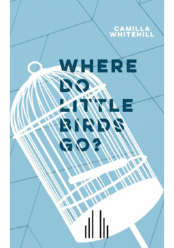 Where Do Little Birds Go?