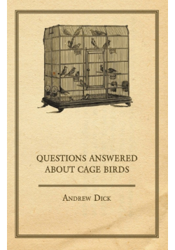 Questions Answered about Cage Birds