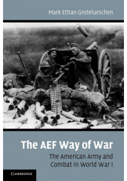The AEF Way of War