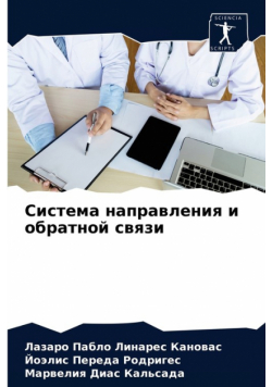 Система направления и обратной связи